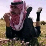 Habibi Manyak