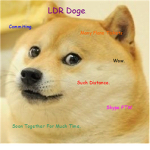 Dogez For Life <3