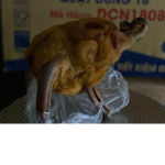 give a ưay roblux