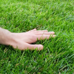 touch grass simulator