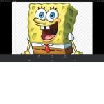 Spongefor3ver