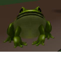 Sit on a chair and watch a Puddle with Frogs