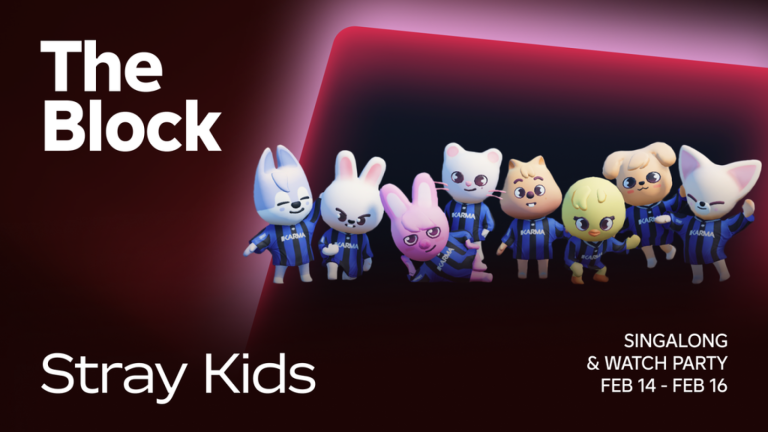 [Stray Kids] The Block Codes