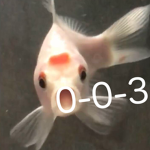 0-0-3