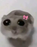 Lily's Minis