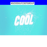 the goodguy2307 group