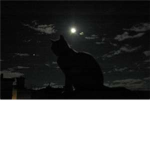 Spiritclan*