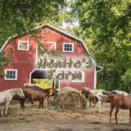 Nenito’s Farm