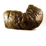 The Poop Gang.