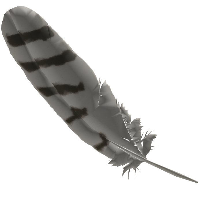 🪶snow owl feather clip ᐢo . oᐢ🦉