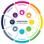 Psychology Hub Wellness Institute [PHWI]