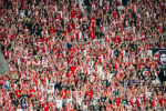 diamec fans