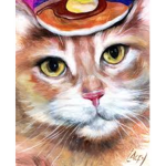 ./*Cat Creations*\.
