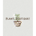 Plant boutique