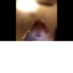 Doge Simulator