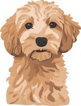 Max’s Dog World