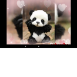 Baby_yodaFanGroup