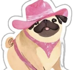 -pozole’clothes Group Thumbnail