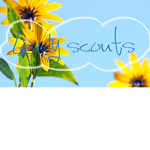Lovely scouts