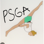 PSGA Gymnastics Team/Group