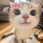 KawaiixPineapples