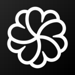 Pronoia Studios