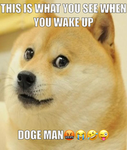 AmongUs is very, very sus