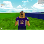 MENNESOTA VIKINGS(TRAVEL TEAM)