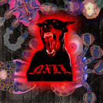 .NXLL