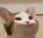 POPCAT UNITE
