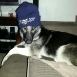 Cotti!