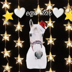 Equi star
