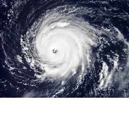 become a hurricane icon
