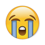 Football Sad Moments Fan Club