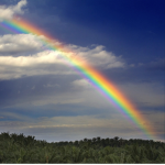 Rainbows fan group :D