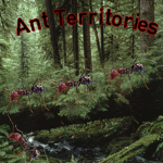 Ant Territories