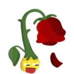 Wilted Rose Alalal