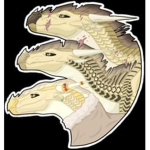 Join the Dragons!