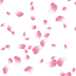 fallinq blossom