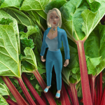 Rhubarb Fan Club
