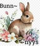 Bunnyys!