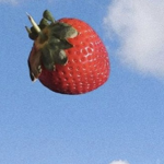 Dubs of a berry