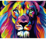rainbowplay