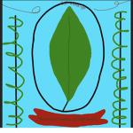 The leaf council