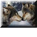 the epic wolf lovers
