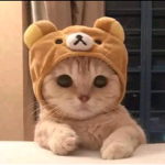 Lay_love13 like t