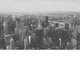 The Very Legitimate City