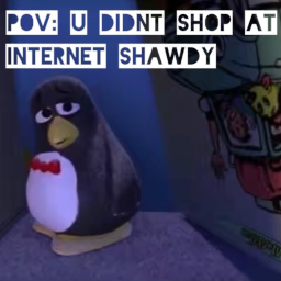 internet shawdy homestore