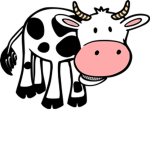 Primary cow gang