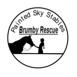 Brumby Rescue
